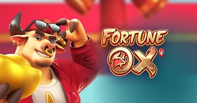 X bet365